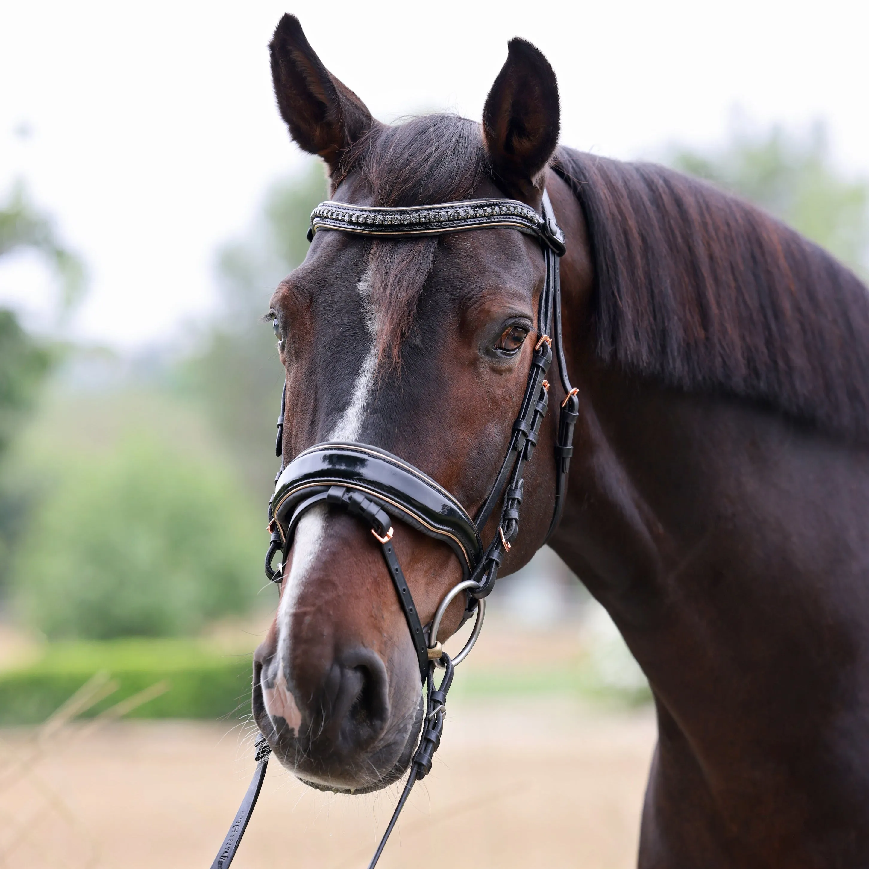 New Yorker Rose Gold Black Patent Snaffle Bridle