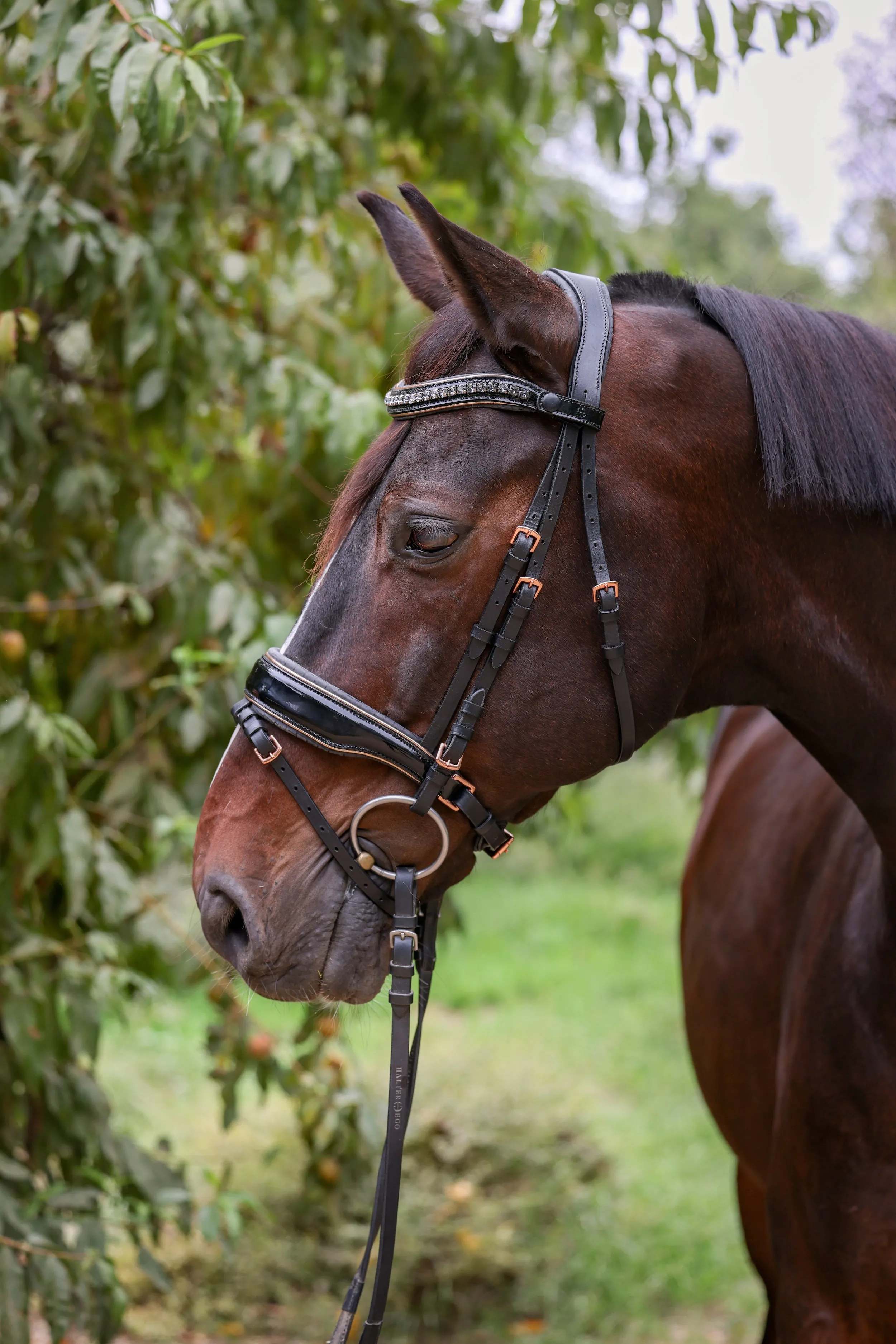 New Yorker Rose Gold Black Patent Snaffle Bridle