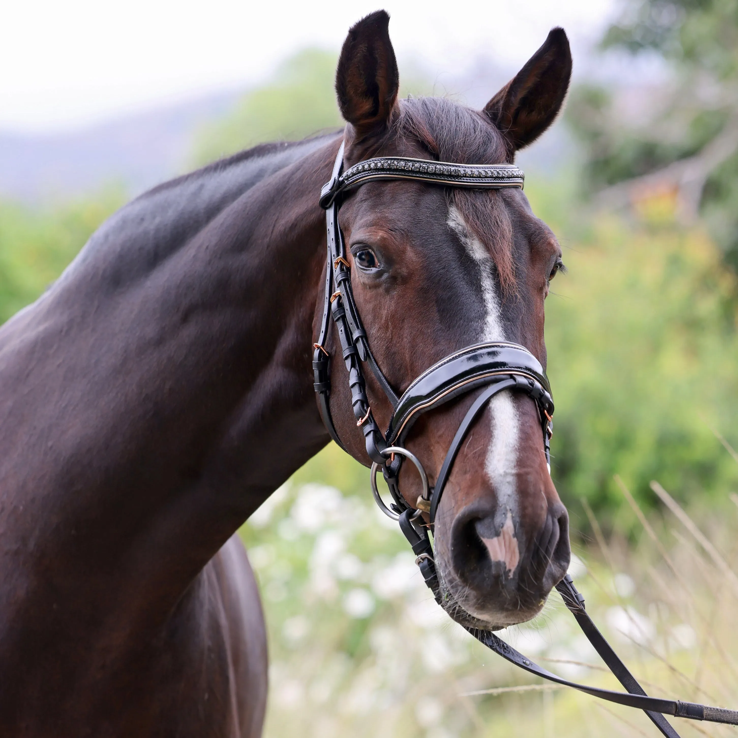 New Yorker Rose Gold Black Patent Snaffle Bridle