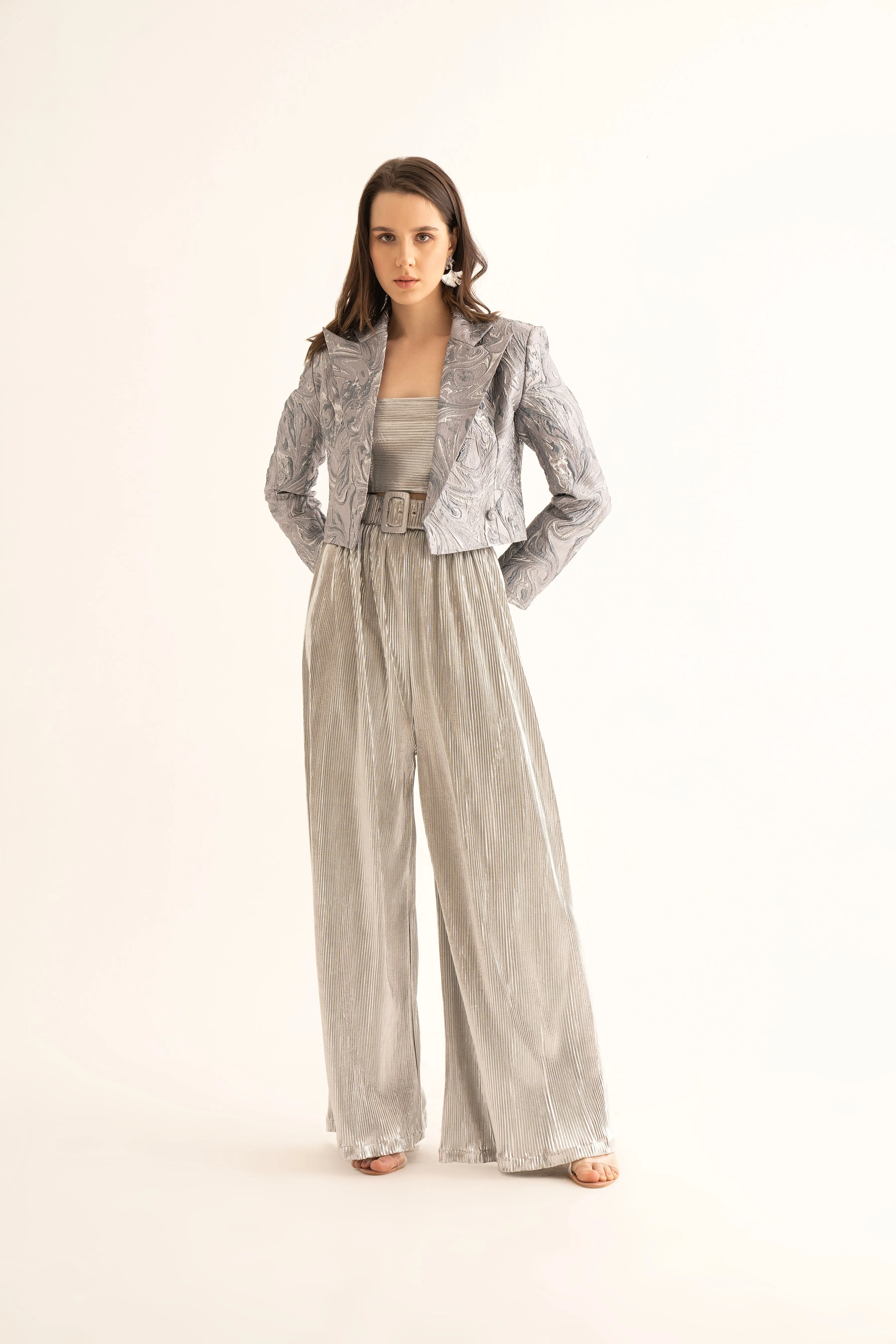 Silver Frost Crop Blazer, Crop Top and Silver Pleated Belted Pants Co-ord Set